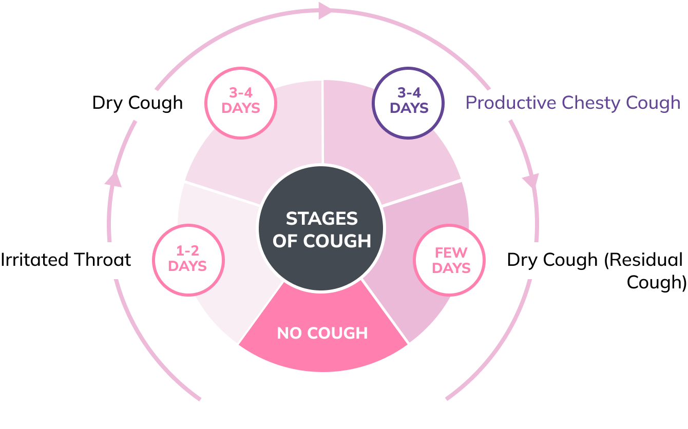 stages of cough graphic