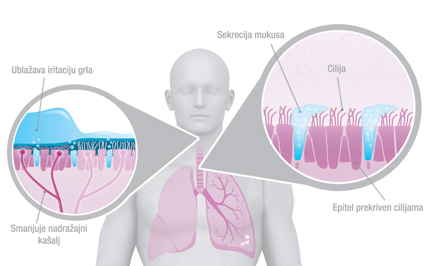 illustration lung effects